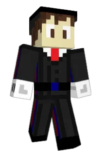 314rft Minecraft avatar full body