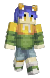 Skin preview