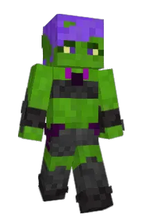 Front of OW_Link's skin