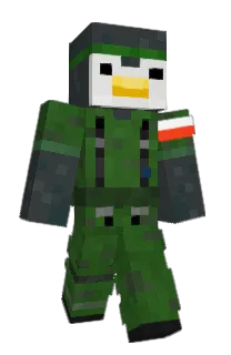 Front of Pingwin24's skin