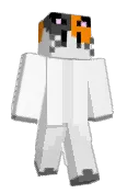 MCP_Cat