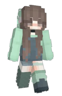 Front of signetics's skin