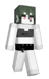 white and gallery Minecraft skin — Slim model — first worn by smol_sea