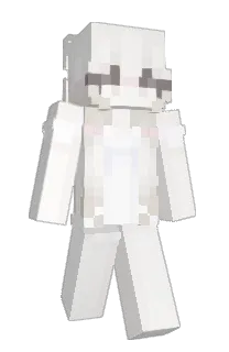 Front of avivna's skin
