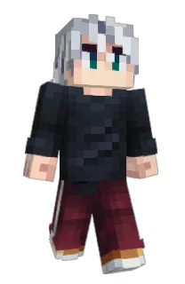 Front of Aidow's skin