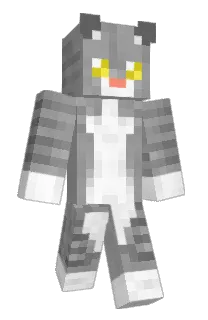 Front of Mr_Babbage's skin