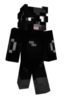 Front of Veytum's skin