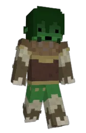 Skin preview