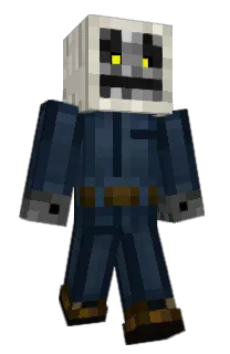 Front of TiktokAyaz's skin