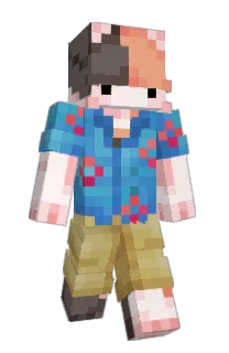 Front of Cheeezik's skin