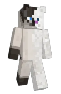 Front of Adtendo's skin