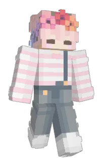 Front of Dellphiinus's skin