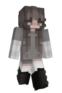 31dollars Minecraft avatar full body