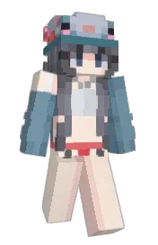Skin preview