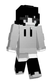 Front of v4l2's skin