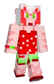 Front of Minecraft skin