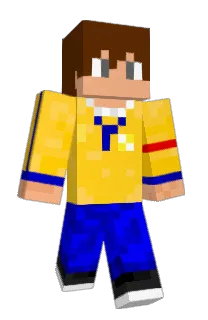 Front of coveragee's skin
