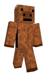 Front of Minecraft skin