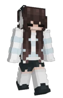 Front of sixfloe's skin