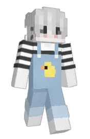 Skin preview