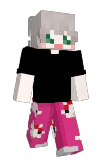 Front of StelLive's skin