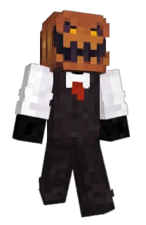Front of litehf's skin