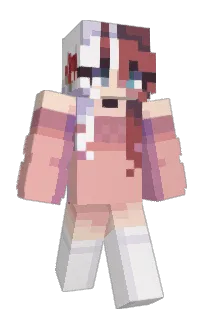 Front of maplerq's skin
