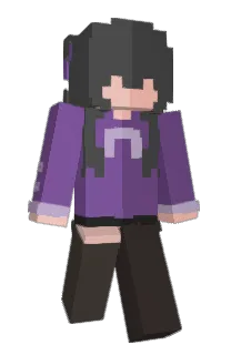 Front of napitsu's skin