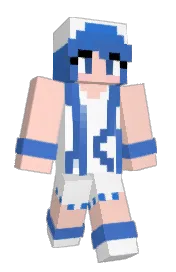 Skin preview