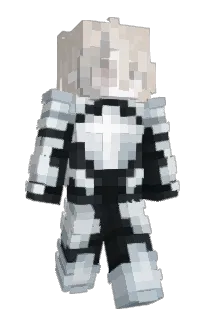 Front of VI1V's skin