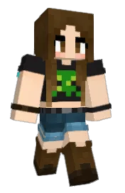 Skin preview