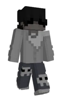 Front of swuid's skin
