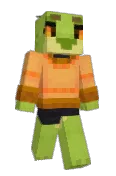 shadowNOVA2001