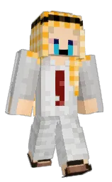 Minecraft skin — Classic model