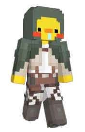 Skin preview
