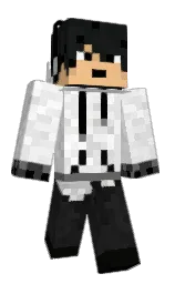 woodsmoke and seashell Minecraft skin — Classic model