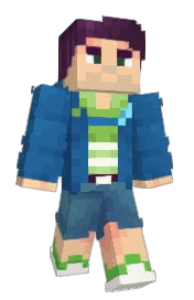 Skin preview