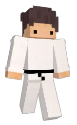 foreiq's Minecraft skin wearing the Migrator cape
