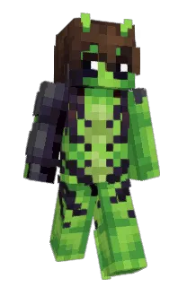 Front of Niflop's skin