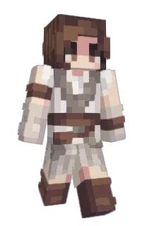 Front of starwar77's skin