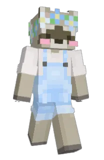Front of IamInc's skin