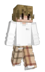 Slim Minecraft skin