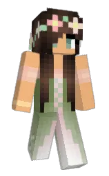 Minecraft skin — Classic model