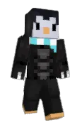 E_33