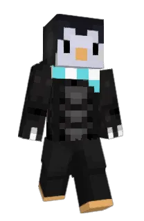 Front of E_33's skin