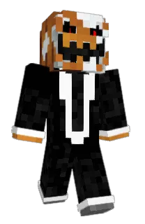 Front of S6OR's skin