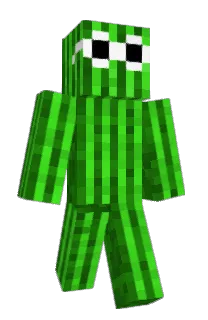 Front of VincentLasalle's skin