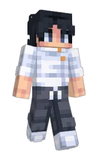 Front of Falcov's skin
