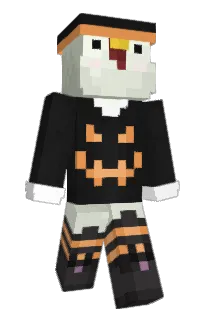 Front of chckn's skin