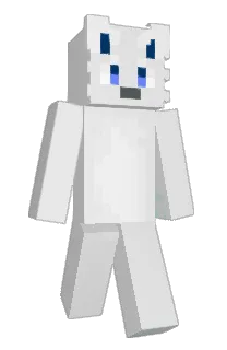 Front of Roni's skin
